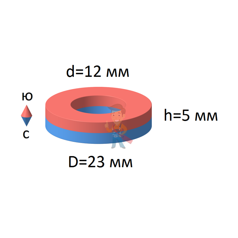 Неодимовый магнит кольцо 23х12х5 мм - фото 1